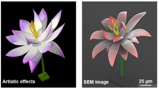 A colorized SEM image, resembling a lotus, next to a replication with artistic effects. Title: A Micro Blooming Lotus.